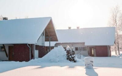 Events in Joensuu – Winter and Spring 2020